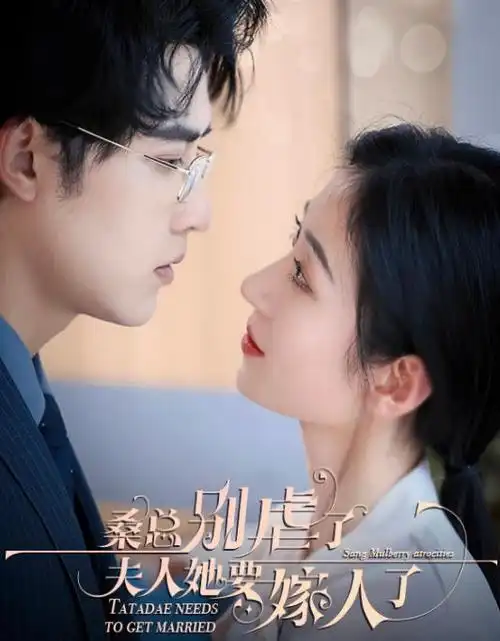 南城旧事 热播电视剧全集在线观看